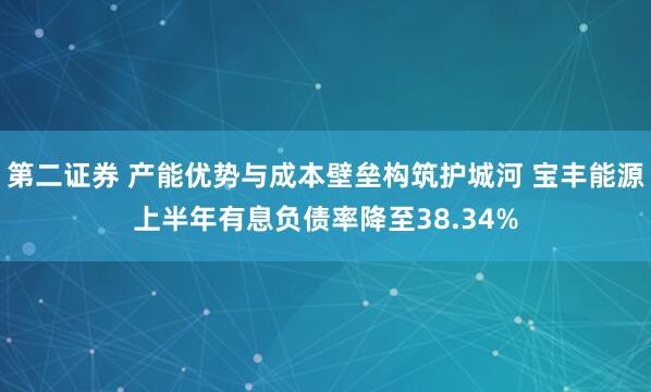 第二证券 产能优势与成本壁垒构筑护城河 宝丰能源上半年有息负债率降至38.34%