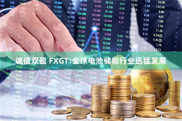诚信双盈 FXGT:全球电池储能行业迅猛发展