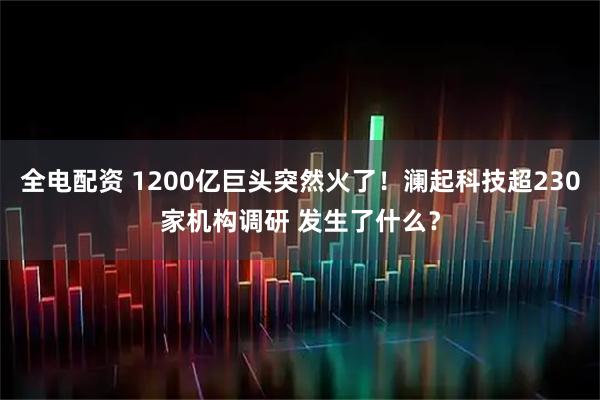 全电配资 1200亿巨头突然火了！澜起科技超230家机构调研 发生了什么？