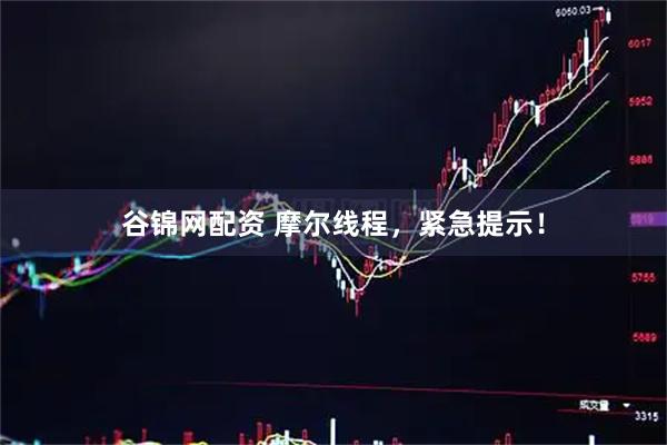 谷锦网配资 摩尔线程，紧急提示！